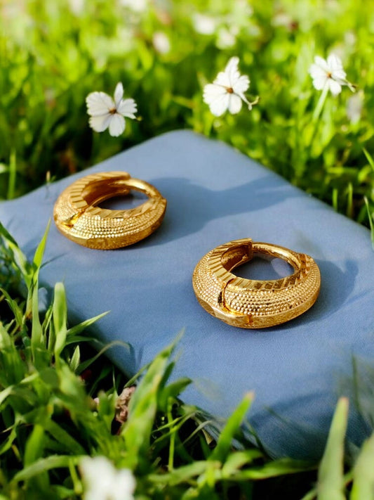 Gold-Plated Leaf Design Hoop Earrings for Women – Stylish Daily Wear Jewelry